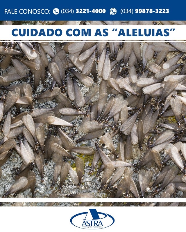 Imagem blog